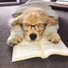 嚣张灬过路人