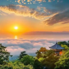 丿小羽轩灬