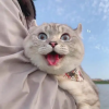 染烟