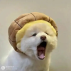 傲视邪主